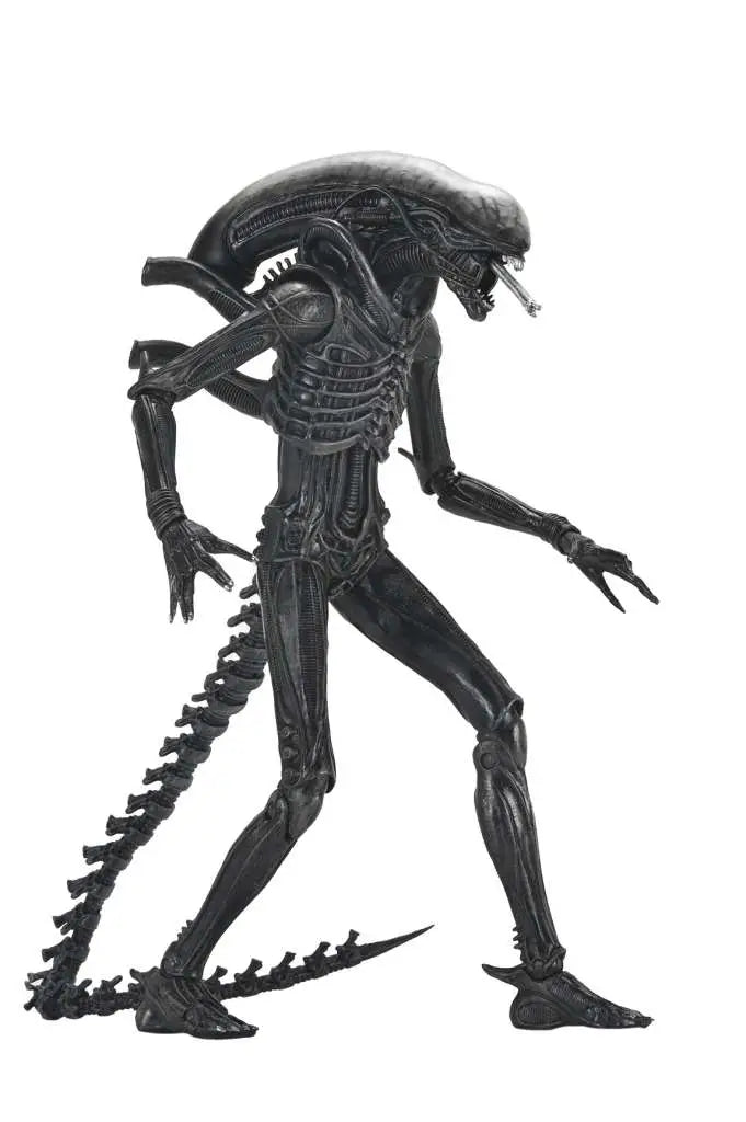 Xenomorph XX121 Ultimate - ALIEN: ROMULUS - 22cm | NECA