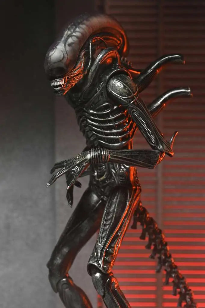 Xenomorph XX121 Ultimate - ALIEN: ROMULUS - 22cm | NECA