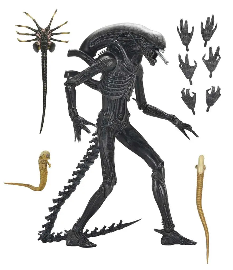Xenomorph XX121 Ultimate - ALIEN: ROMULUS - 22cm | NECA