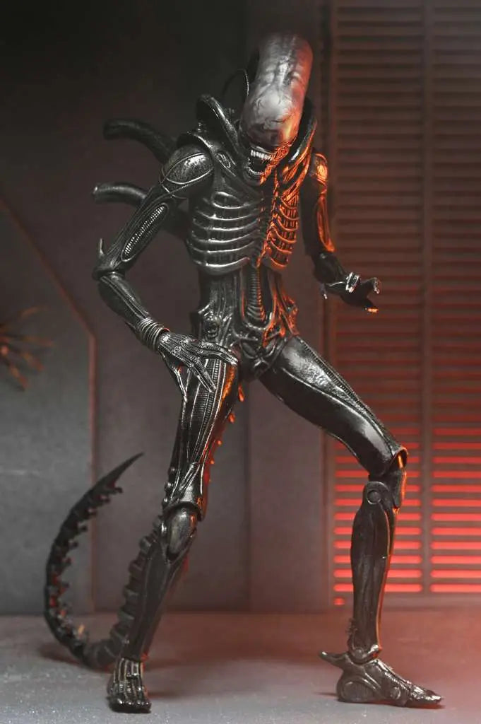 Xenomorph XX121 Ultimate - ALIEN: ROMULUS - 22cm | NECA