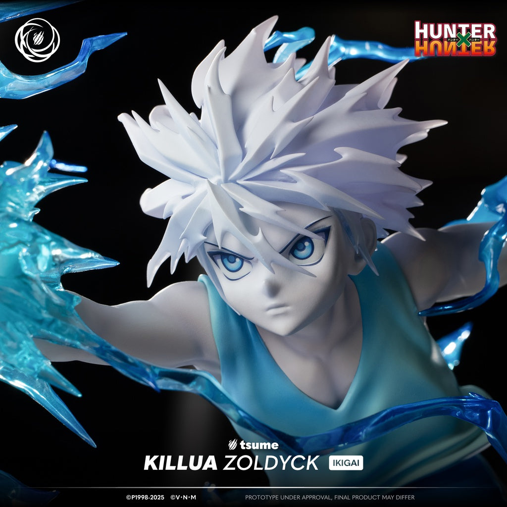 Killua Zoldyck-Tsume Art - Ikigai (¡También a plazos! 👇)