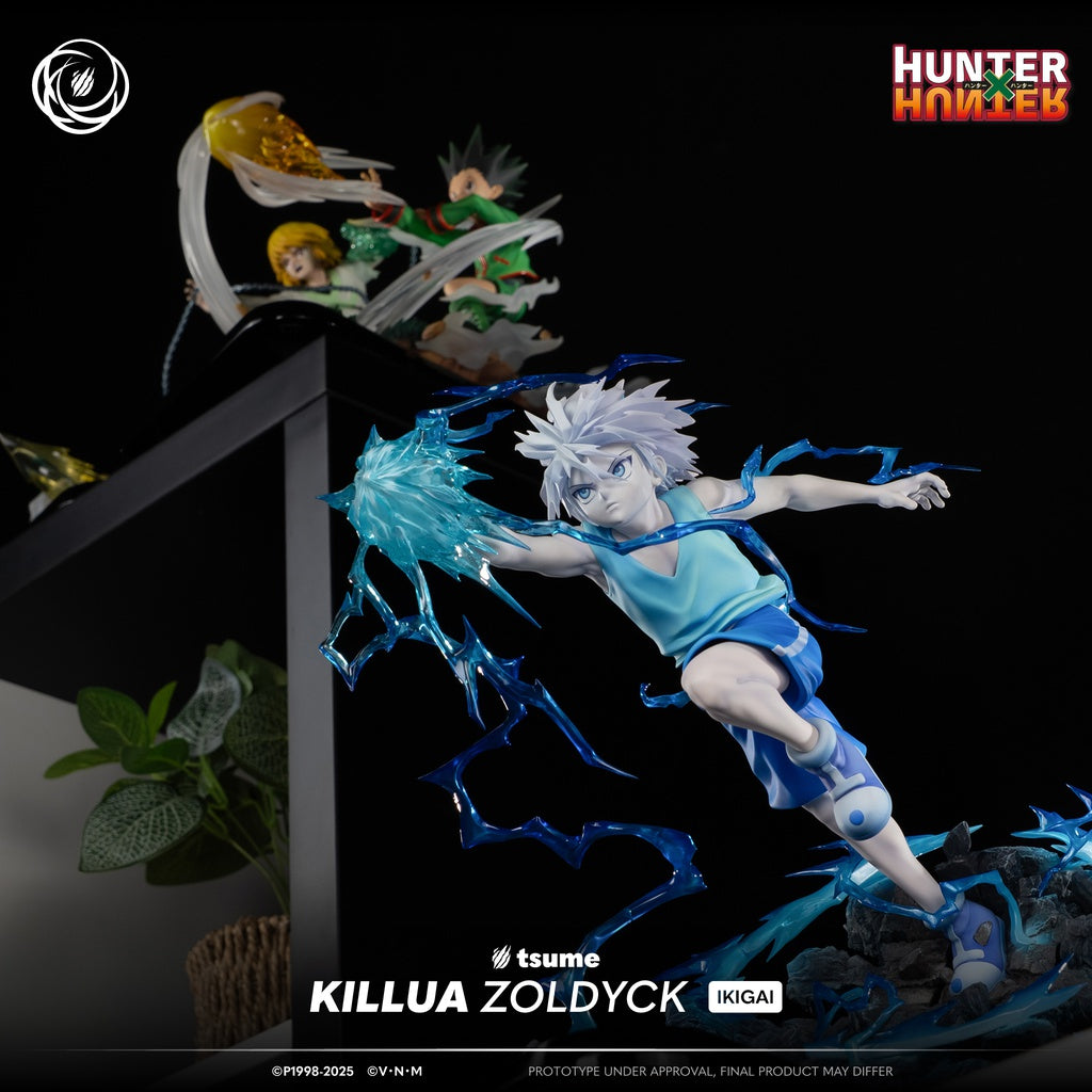 Killua Zoldyck-Tsume Art - Ikigai (¡También a plazos! 👇)
