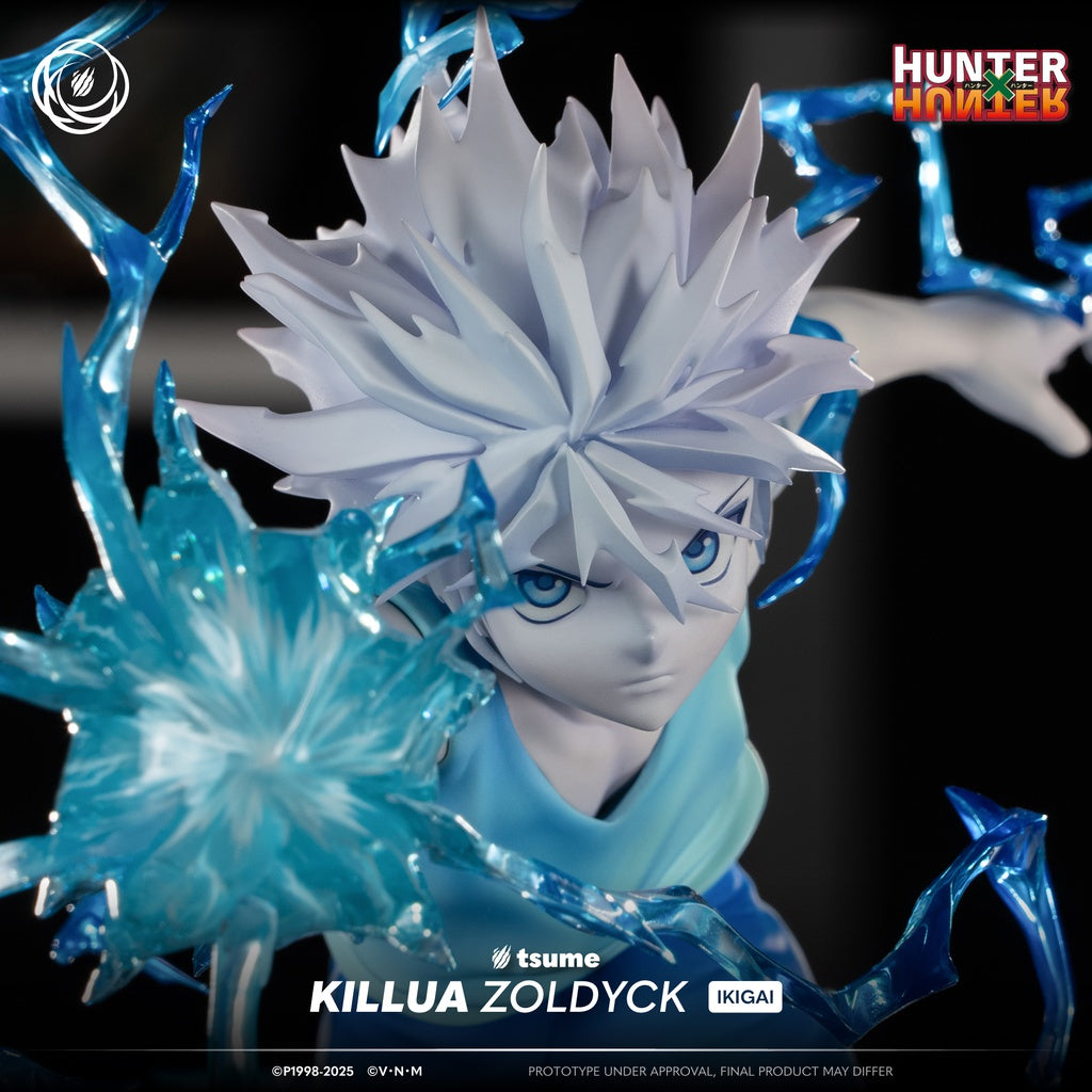 Killua Zoldyck-Tsume Art - Ikigai (¡También a plazos! 👇)